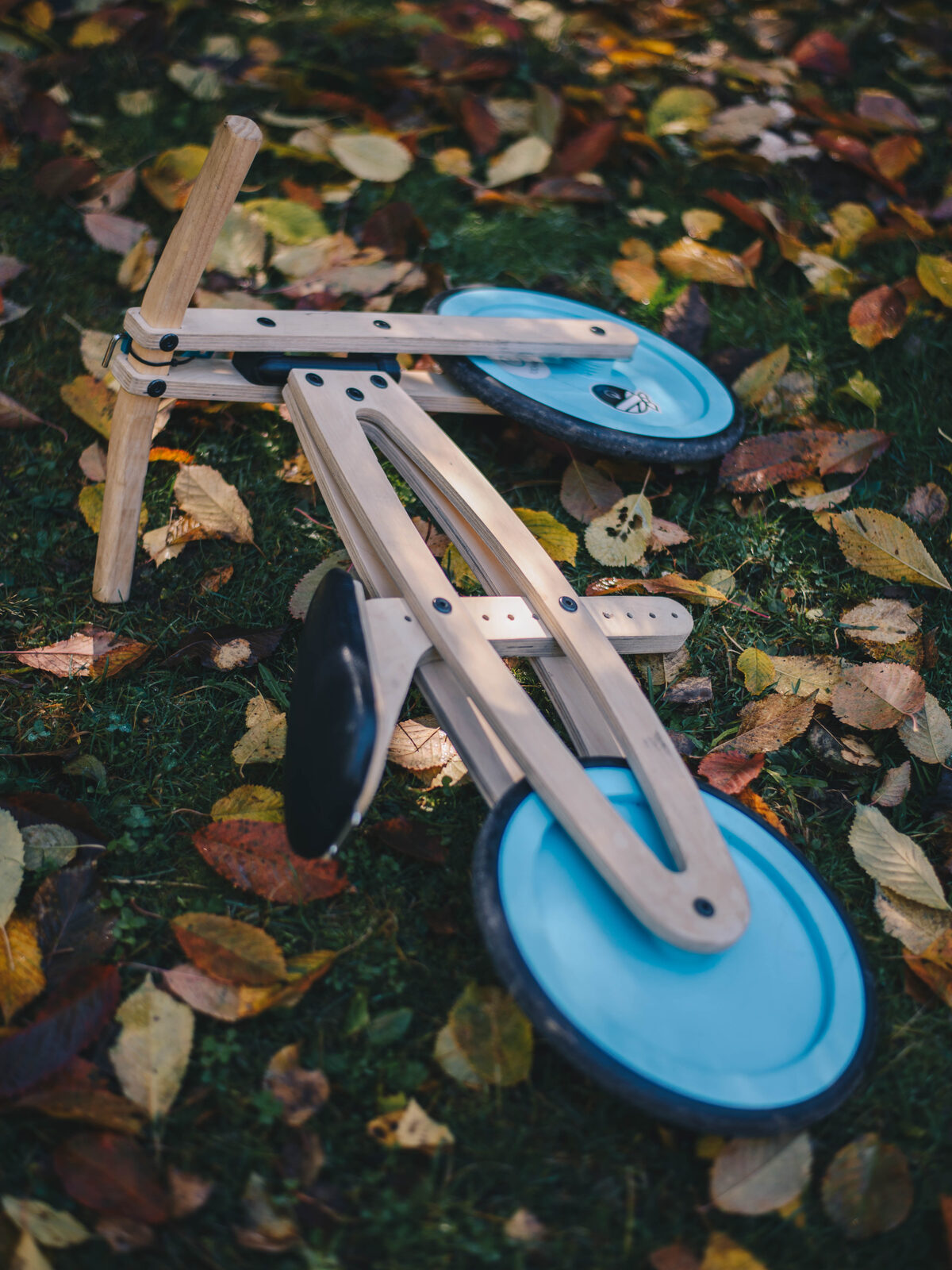 A Tochak with blue painted wheels lying on its side in fallen autumn leaves.